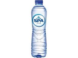 SPA REINE PET 50CL